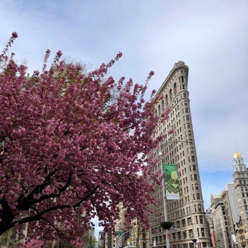 flatiron 2
