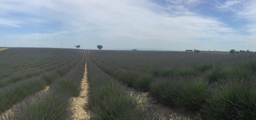 Marsylia i Prowansja