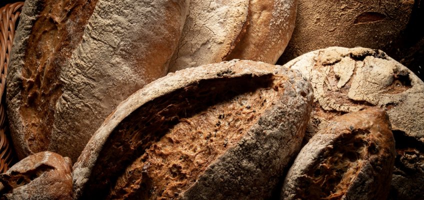 Kuchnia Toskanii i kilka słów o zbieraniu grzybów we Włoszech