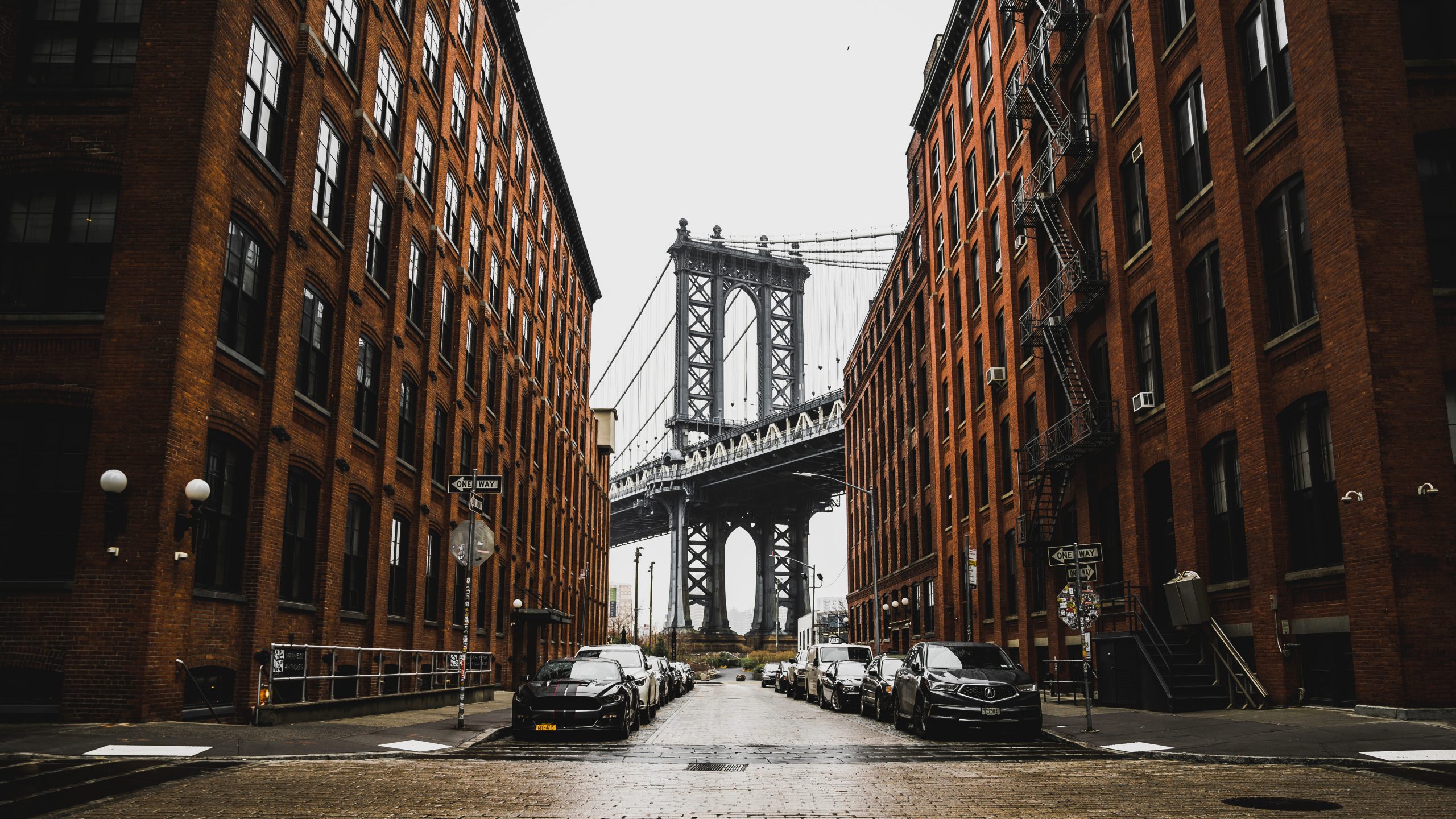 dumbo